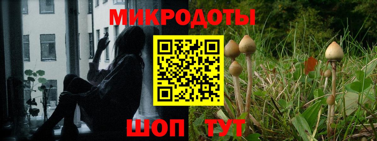 купить наркоту  Вход с VPN  Коркино  Псилоцибиновые грибы MAGIC MUSHROOMS 
